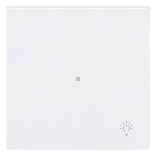 BJ 6231-10-44G Wippe 1-fach m.Symbol "Licht"
