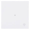 BJ 6231-10-44G Wippe 1-fach m.Symbol "Licht"