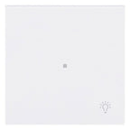 BJ 6231-10-44G Wippe 1-fach m.Symbol "Licht"