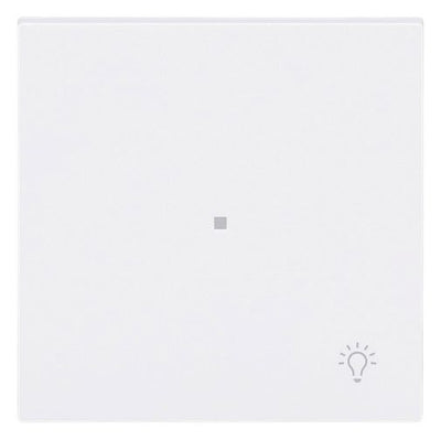 BJ 6231-10-44G Wippe 1-fach m.Symbol "Licht"