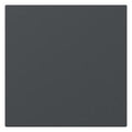 GIRA 349628 Wippe gerade System 55 Anthrazit