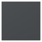 GIRA 349628 Wippe gerade System 55 Anthrazit