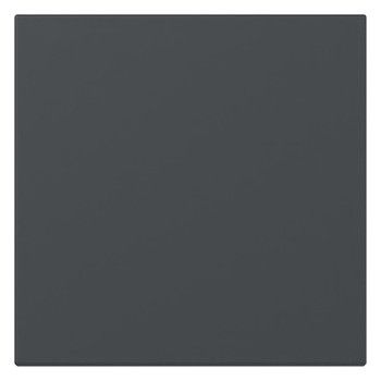 GIRA 349628 Wippe gerade System 55 Anthrazit