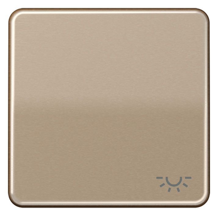 Jung CD590LGB Wippe Symbol Licht gold-bronze