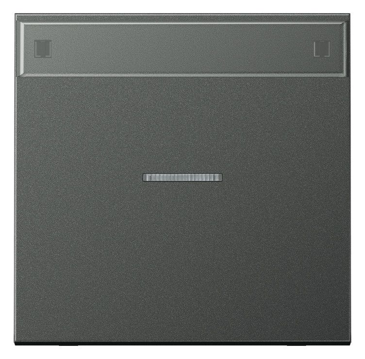 Jung AL2990NAKO5AN Wippe Schriftfeld Lichtleiter LS Aluminium anthrazit
