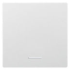 Eltako W-F1T55E-pm Wippe f.Funktaster im E-Design55 ungraviert pws matt 30055912