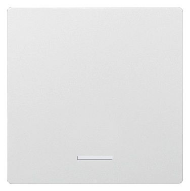 Eltako W-F1T55E-am Wippe f.Funktaster im E-Design55 ungraviert anth 30055910