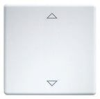 Eltako W-FT55-rw+2P Wippe 55er Design u.E-Design55 reinweiß 30000982