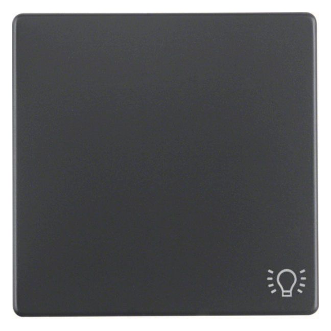 Berker 16206046 Wippe m.Aufdruck Symbol Licht Q.1/Q.3 anthrazit samt