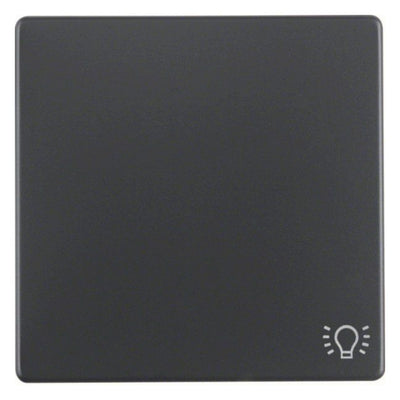 Berker 16206046 Wippe m.Aufdruck Symbol Licht Q.1/Q.3 anthrazit samt