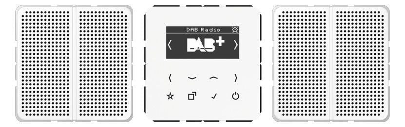 Jung DABCD2WW Smart Radio DAB+