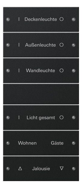 GIRA 2206005 Wippenset 6fach (3+3) beschreib. System 55 Schwarz matt(lack.)