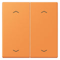 Jung LC102P225 Wippe m.Pfeilsymbolen f.KNX Taster 2