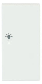 BJ 6231-22-884 Wippe/R 2f Licht matt studioweiß Busch-free@home future linear