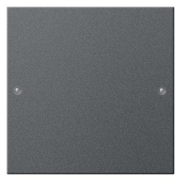 GIRA 218128 Wippenset 1fach System 55 Anthrazit (lackiert)