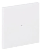 BJ 6230-10-44M Wippe 1-fach neutral o.Bedruckung