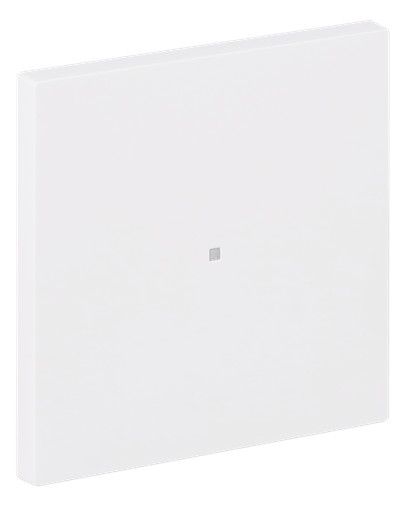 BJ 6230-10-44M Wippe 1-fach neutral o.Bedruckung