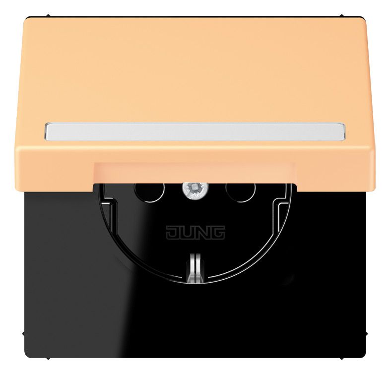 Jung LC1520BFNAKL258 SCHUKO-Steckd.KI m. Klappdeckel m.S