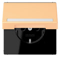 Jung LC1520BFNAKL258 SCHUKO-Steckd.KI m. Klappdeckel m.S