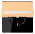 Jung LC1520BFNAKL258 SCHUKO-Steckd.KI m. Klappdeckel m.S