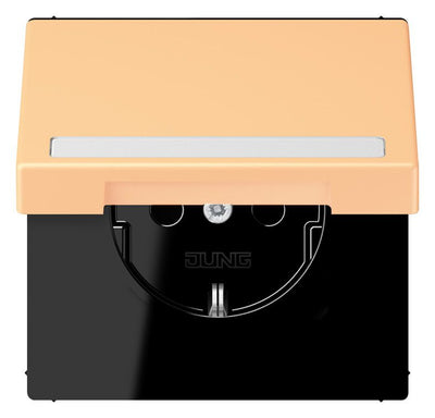 Jung LC1520BFNAKL258 SCHUKO-Steckd.KI m. Klappdeckel m.S