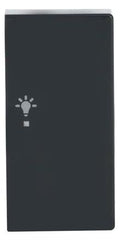 BJ 6231-22-81 Wippe rechts 2-fach Licht Busch-free@home anthrazit