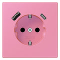 Jung LC1520-15CA246 SCHUKO-Steckd.m.USB Typ AC LC4320C