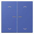 Jung LC102KO5P206 Wippe m.Lichtleiter u. Pfeilsymbolen
