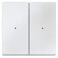 Mert 625219 Wippe f.Tastermodul 2fach polarweiß System M