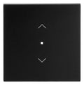 BJ 6232-10-45M Wippe 1-fach m.Symbol "Jalousie"