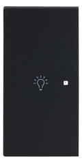 BJ 6231-21-45M Wippe 2-fach links m.Symbol "Licht"