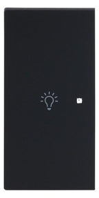 BJ 6231-21-45M Wippe 2-fach links m.Symbol "Licht"