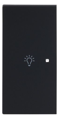 BJ 6231-21-45M Wippe 2-fach links m.Symbol "Licht"