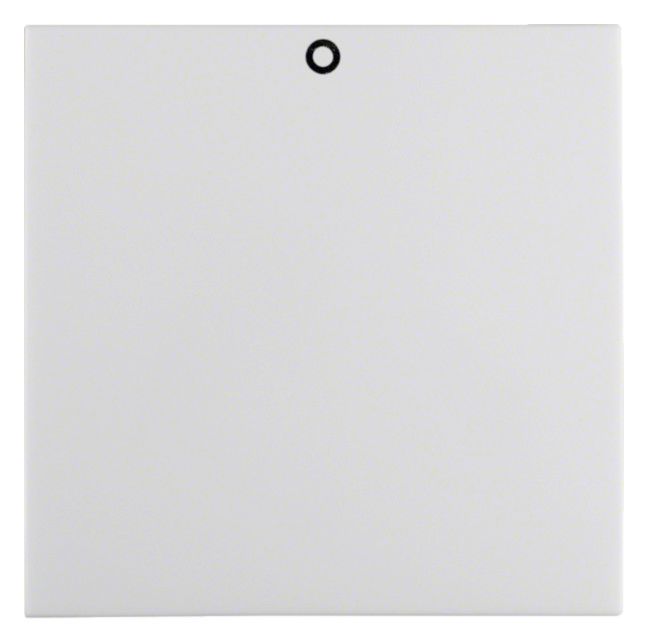Berker 16298979 Wippe Auf 0 u.Befest S.1 IP44 pw gl