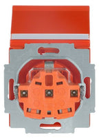BJ 20 EUKNB-14-82 SCHUKO Steckdosen-Einsatz org RAL2004 future