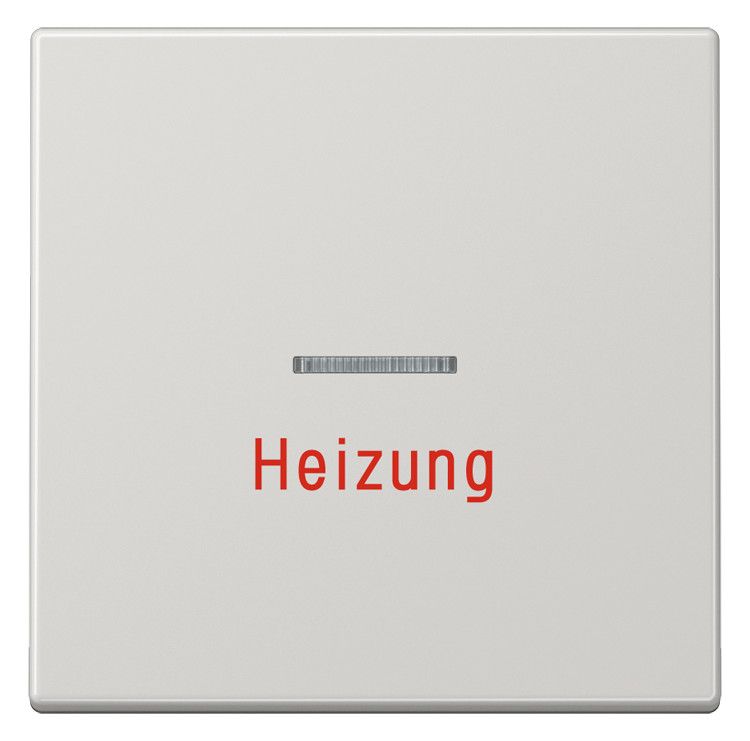 Jung LS990HLG Wippe Heizung Notschalter m.Lichtleiter lichtgrau