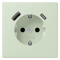 Jung LC1520-15CA218 SCHUKO-Steckd.m.USB Typ AC LC32042