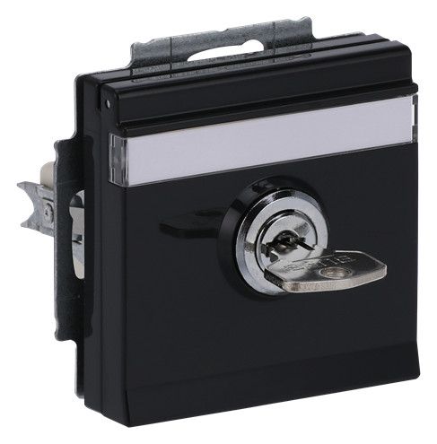 BJ 20 EUKNBSL-81-101 SCHUKO Steckdosen-Einsatz anth future linear