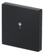 BJ 6231-10-885 Wippe 1f Licht schwarz matt Busch-free@home future linear