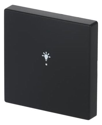 BJ 6231-10-885 Wippe 1f Licht schwarz matt Busch-free@home future linear