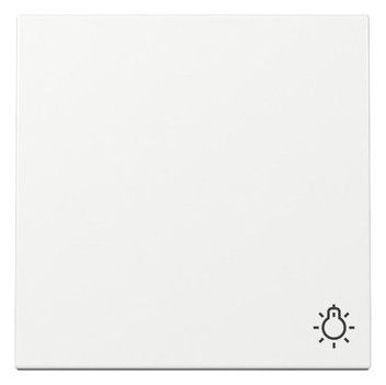 GIRA 328503 Wippe Symbol Licht System 55 Reinweiß glänzend