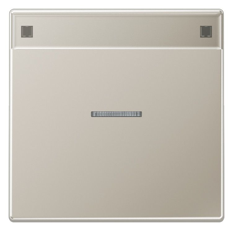 Jung ES2990NAKO5 Wippe Schriftfeld m.Lichtleiter LS Edelstahl