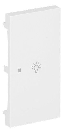 BJ 6231-22-44G Wippe 2-fach rechts m.Symbol "Licht"