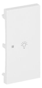 BJ 6231-22-44G Wippe 2-fach rechts m.Symbol "Licht"