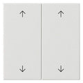 GIRA 538703 Wippe 2fach Pfeile System 55 Reinweiß glänzend