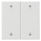 GIRA 538703 Wippe 2fach Pfeile System 55 Reinweiß glänzend