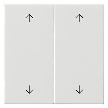 GIRA 538703 Wippe 2fach Pfeile System 55 Reinweiß glänzend