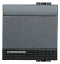 BTicino L4915/2 LivingLight Wippe 2M Anthrazit