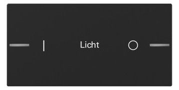 GIRA 8622005 Wippe Wippenset 2f indiv.Tastsens.4.55 Schwarz m