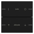 GIRA 5762005 Wippenset 2fach indiv. Tastsensor4 System 55 Schwarz matt(la)
